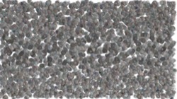 image: image from chuck's shooting stars