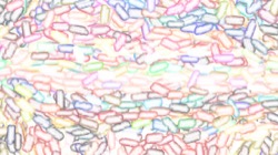 image: image from craig's blenders