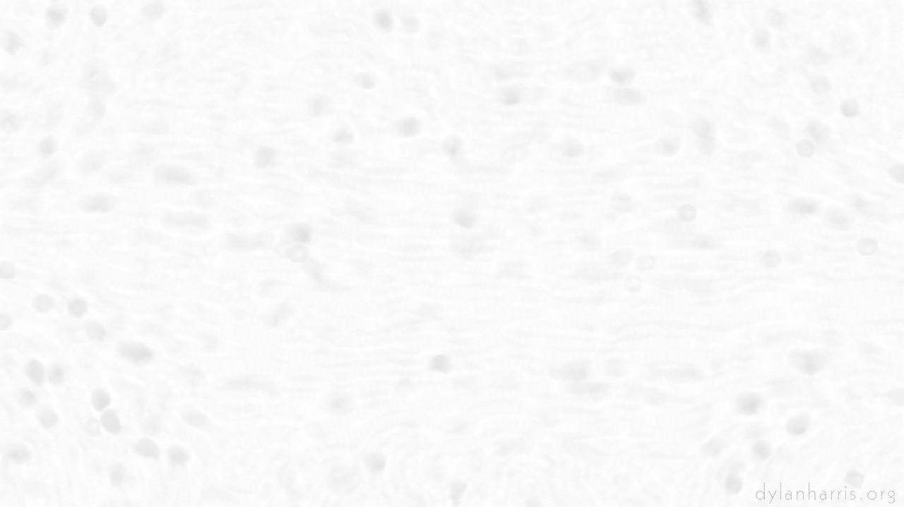 image: creative mac washes :: wash7