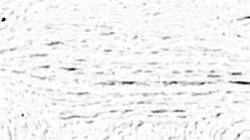 image: image from creative mac washes