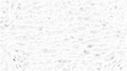 image: image from creative mac washes