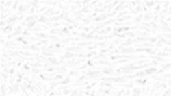 image: image from creative mac washes