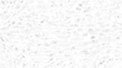 image: image from creative mac washes