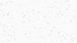 image: image from creative mac washes