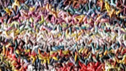 image: image from dino favourites