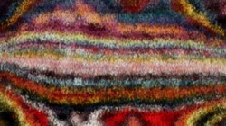 image: image from dino favourites