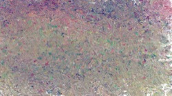 image: image from jean's wad select