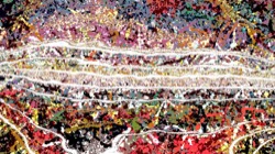 image: image from mark feb 2