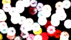 image: image from nagal series 03