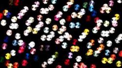 image: image from nagal series 03