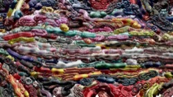 image: image from nagal series 03