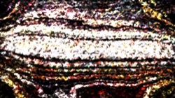 image: image from nagal series 03