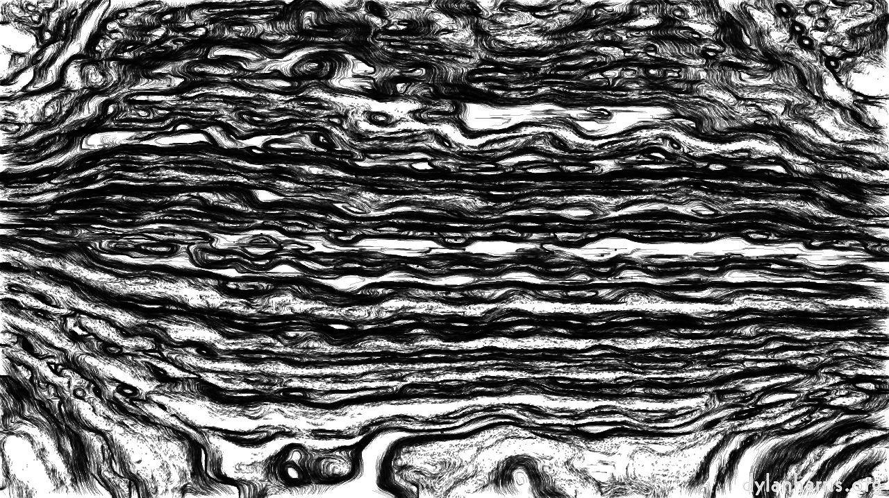 Image: nagal series 04 :: ns4pp1pencil5