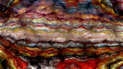 image: image from nagal series 06