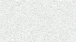 image: image from nagal series 07