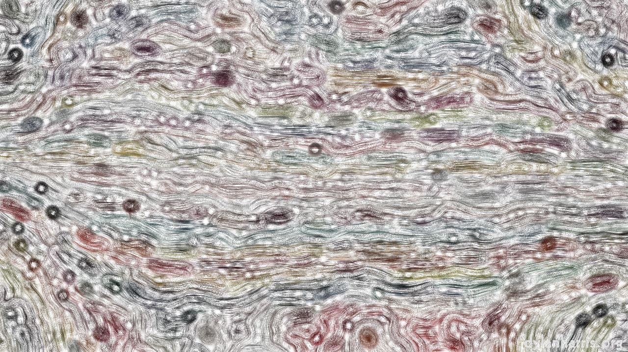 image: nagal series 08 :: hollowbristles2