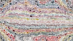 image: image from nagal series 08