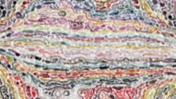 image: image from nagal series 08