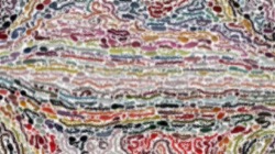 image: image from nagal series 08