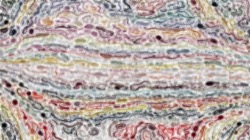 image: image from nagal series 08