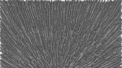 image: image from nagal series 09 paint patches