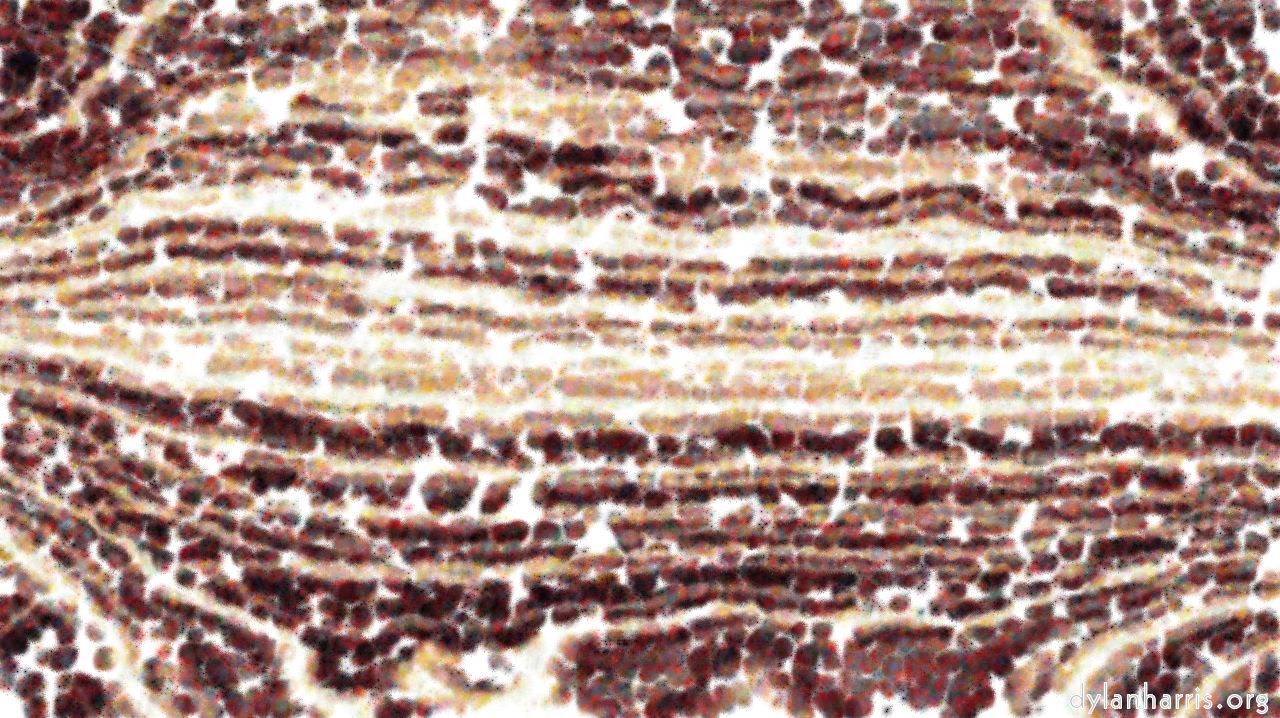 Image: nagal series 11 liquid :: runny2