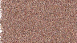 image: image from nagal series 11 liquid