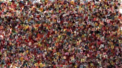 image: image from nagal series 11 liquid