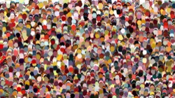 image: image from nagal series 12