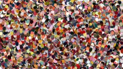 image: image from nagal series 12