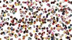 image: image from nagal series 12