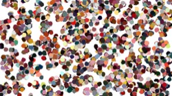 image: image from nagal series 12