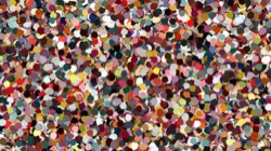 image: image from nagal series 12