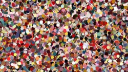 image: image from nagal series 12