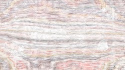 image: image from nagal series 13