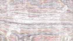 image: image from nagal series 13