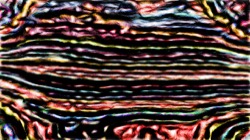 image: image from nagal series 13