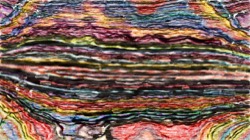 image: image from nagal series 13