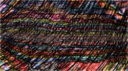 image: image from nagal series 13