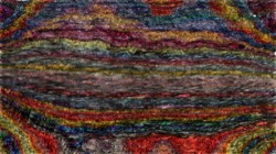 image: image from nagal series 13