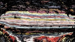 image: image from nagal series 13