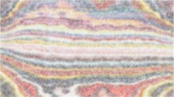 image: image from nagal series 14