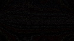 image: image from nagal series 14