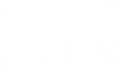 image: image from nagal series 14