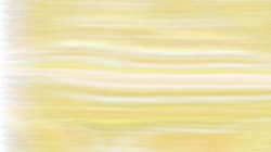 image: image from nagal series 14