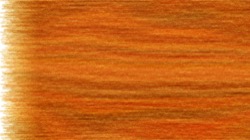 image: image from nagal series 14