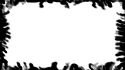 image: image from sharon's brushes