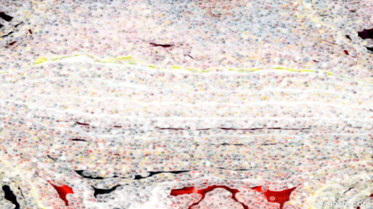 Image: aaa tucker :: junoskinkypowder