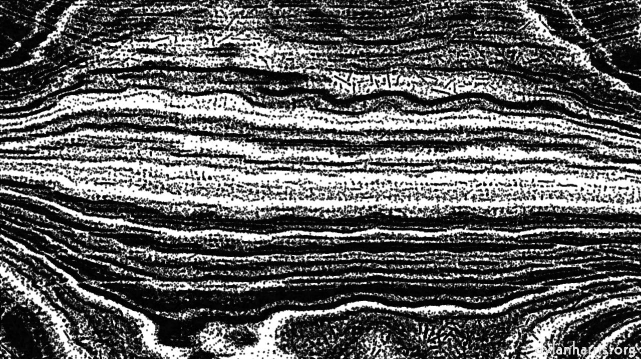 image: aaa tucker :: penbwhatcher1