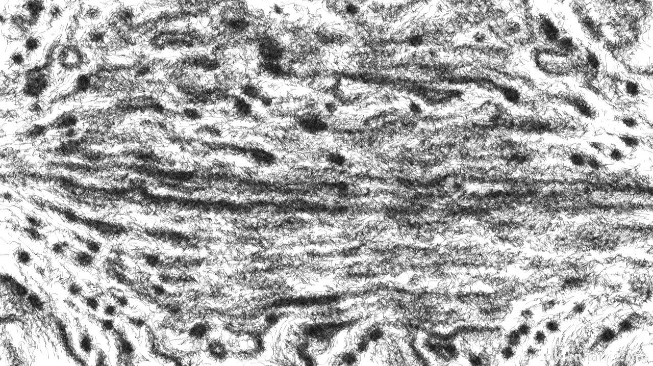 image: aaa tucker :: pencilchaoticline